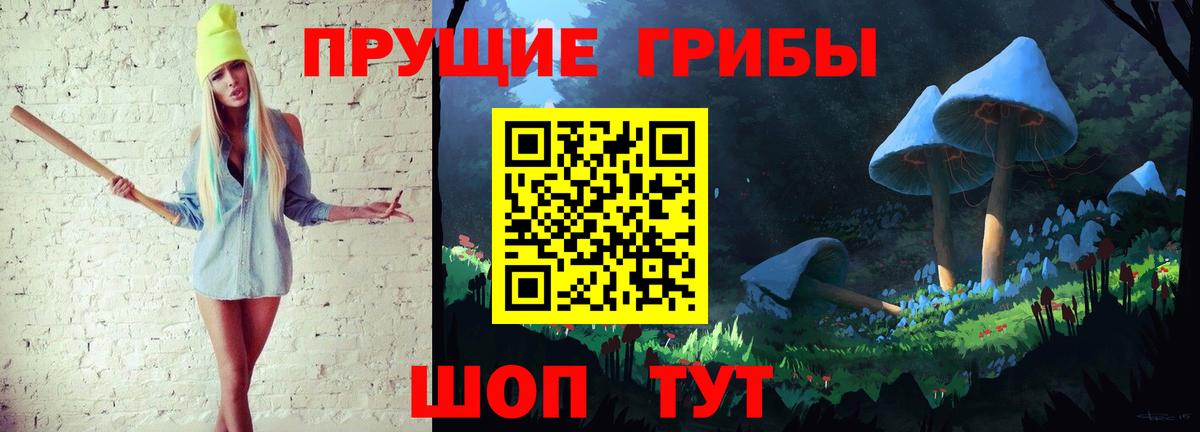 Северск  Псилоцибиновые грибы Psilocybine cubensis  Вход с VPN  Псилоцибиновые грибы Cubensis 